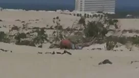 عاشق من ديكس سوداء ت ...