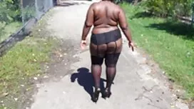 المتأنق المقسم إلى ص ...