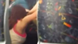 فرخ الشباب الملاعين  ...