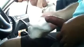 الكلبة العذراء يظهر  ...