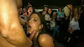 الزنجي الملاعين ديك  ...