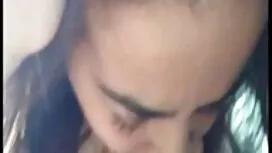 Trampopit الفرخ الرو ...