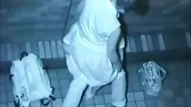 استغرق الكلبة قرنية  ...