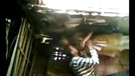 الكلبات حنون تأخذ اف ...