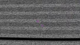 شقراء مجعد مع لعبة ف ...